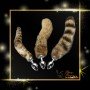 Fox Tail Brown Plated Metal Anal Plugs AD-020