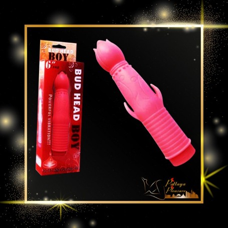 Bud Head Boy Fun Vibrator FV-001
