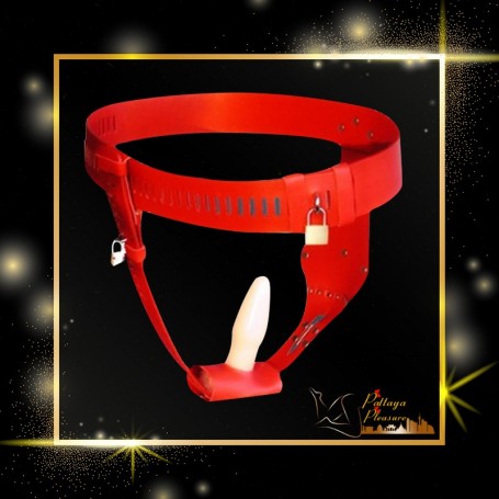 Chastity Lock Device for Women BDSM-002