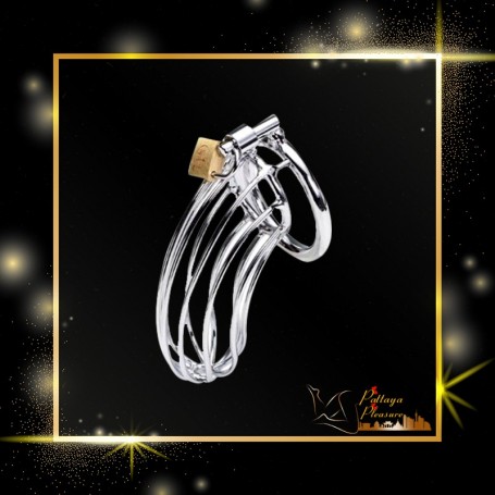 Stainless Steel Iron Wire Male Chastity Lock BDSM-016