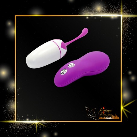 20 Modes Vibration Wireless Vibrating Egg for Female BV-010