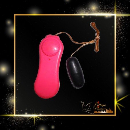Single Jump Egg Bullet Vibrator With Sound BV-023