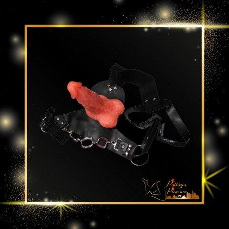 Vibrating Realistic Straps On Dildo SO-017